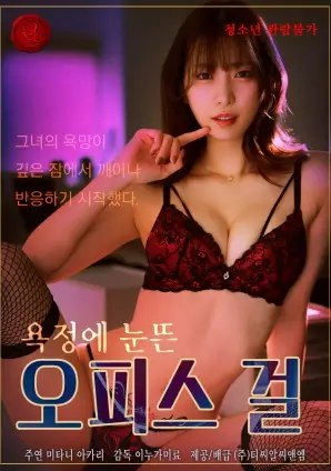 老宅女主 免费短剧海报